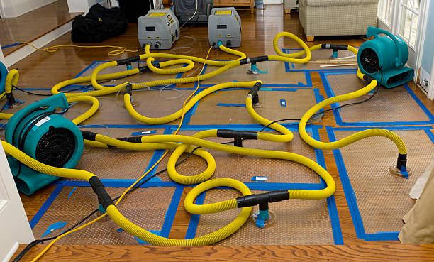 Professional Crawl Space Water Removal technician working in Pleasantville, IA